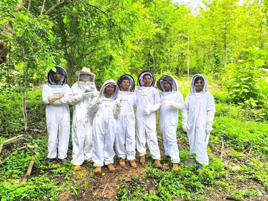 Queen Bee DNA: Apicultural Genetic Improvement