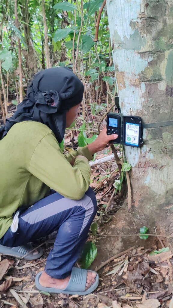 Camera checking