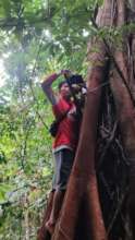 Camera checking