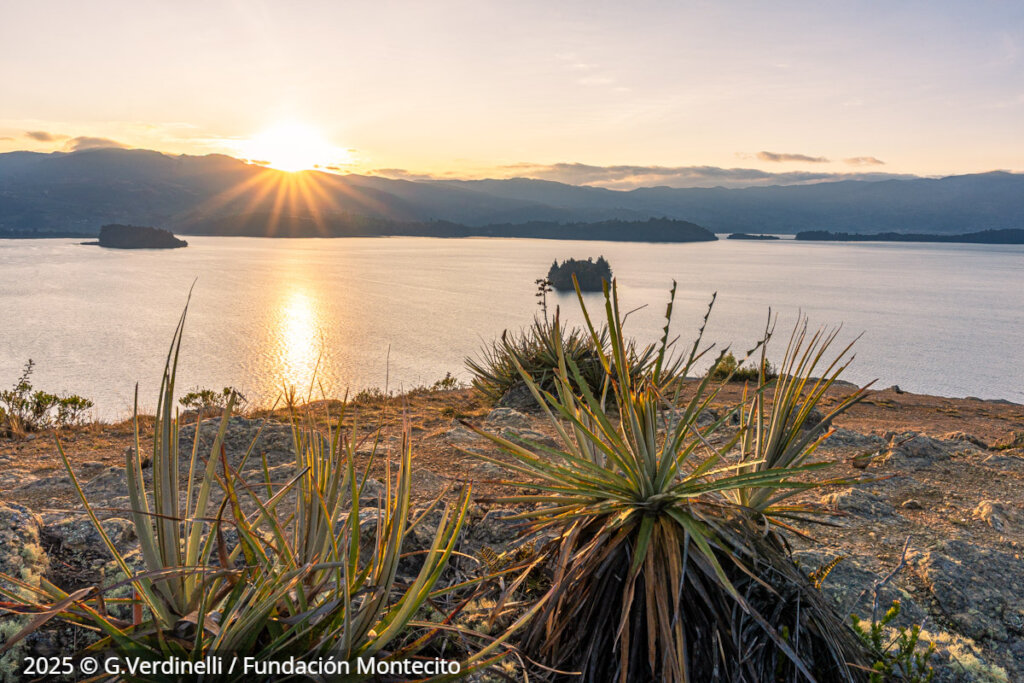 The Book of Lake Tota