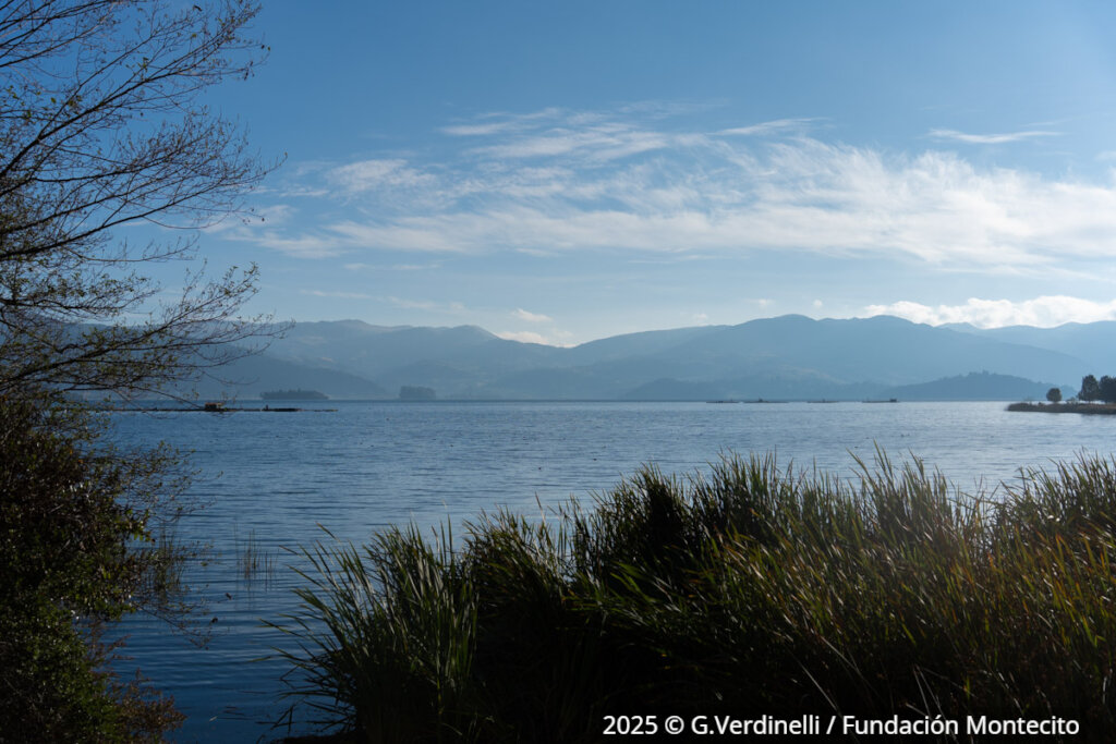 The Book of Lake Tota