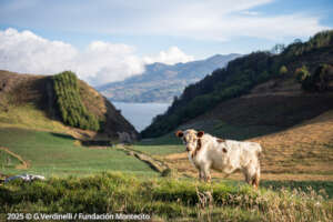 Landscapes around Lake Tota