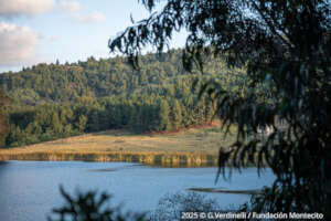 Landscapes around Lake Tota