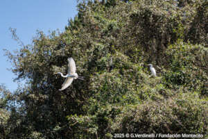 Landscapes around Lake Tota