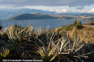Landscapes around Lake Tota