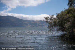 Landscapes around Lake Tota