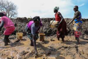 Restore Homes for 50 Displaced Christian Families