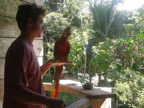 a scarlet macaw at Camino Verde