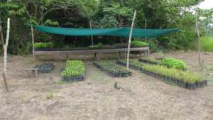 One of the nursery modules