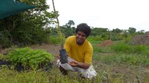 Manuel and a seedling of Salix humboldtiana