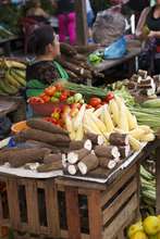 Amazonian farm products can be grown with biochar
