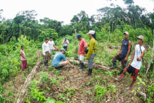 Tree planting in the Peruvian Amazon
