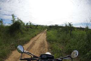 Fragile and degraded soils of Amazonia