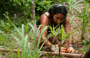 Turning carbon footprints into healthy soils