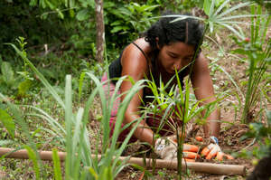 Turning carbon footprints into healthy soils