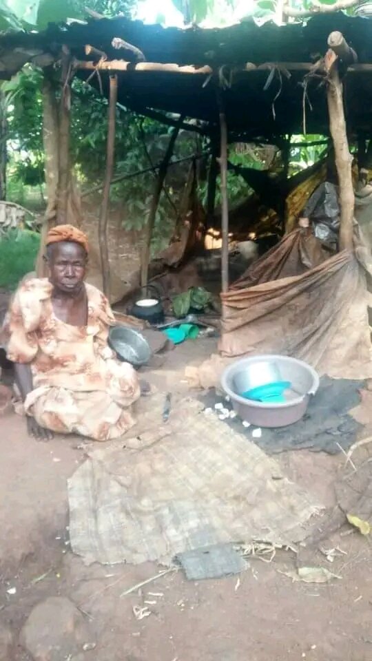 Support the Elderly With Food and Essentials