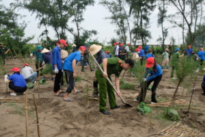 Planting trees in Ninh Binh