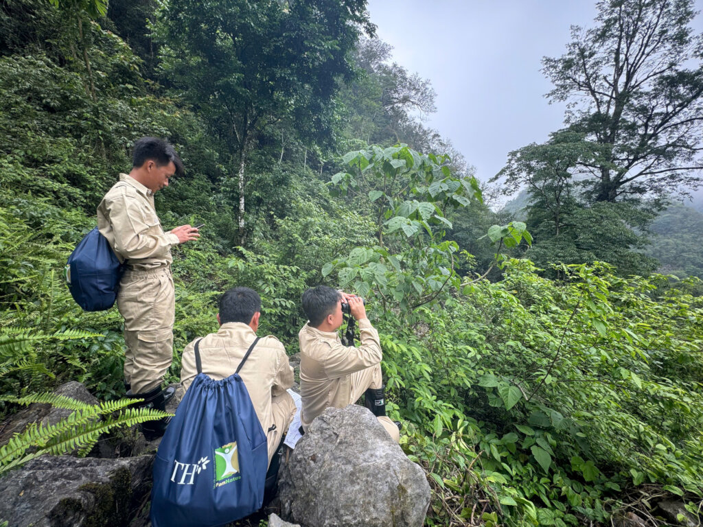 20 Years for Nature: Help us Continue Our Path