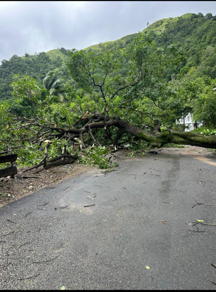 #Melissa LGBTIQ+ Support fund #prayforJamacia