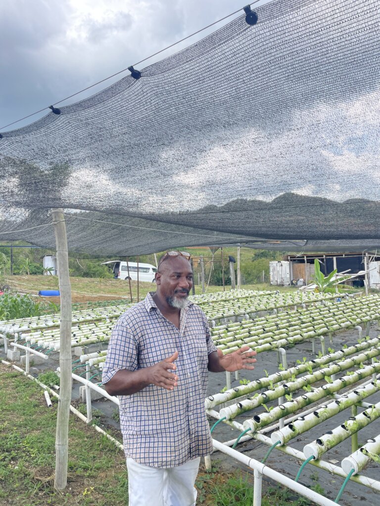 Paul's aquaponic farm and tour