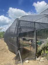 seedling greenhouse
