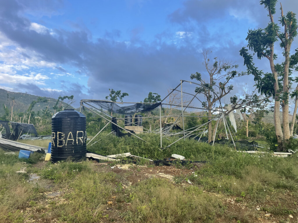 Melissa Response: Farms & Food Security