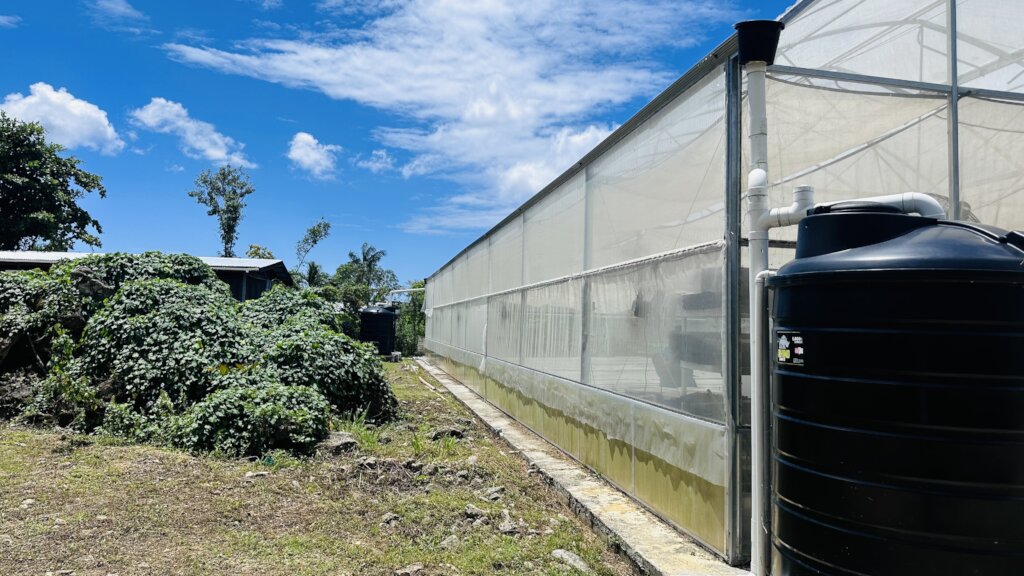 Melissa Response: Farms & Food Security