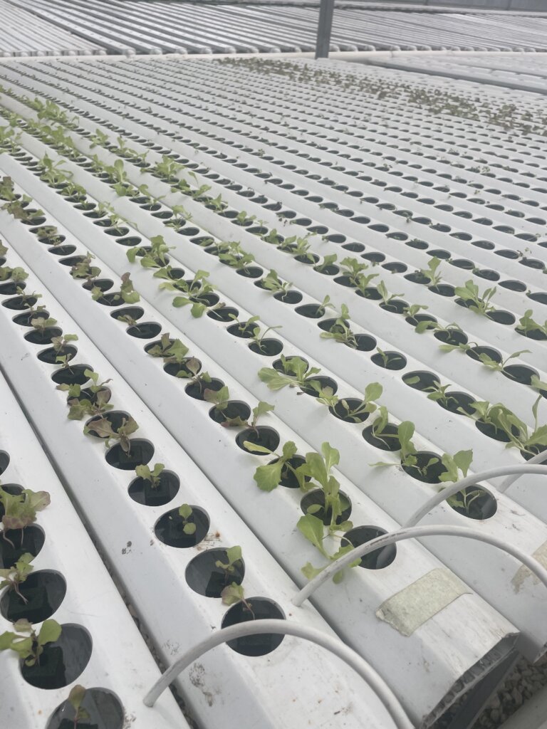 Melissa Response: Farms & Food Security