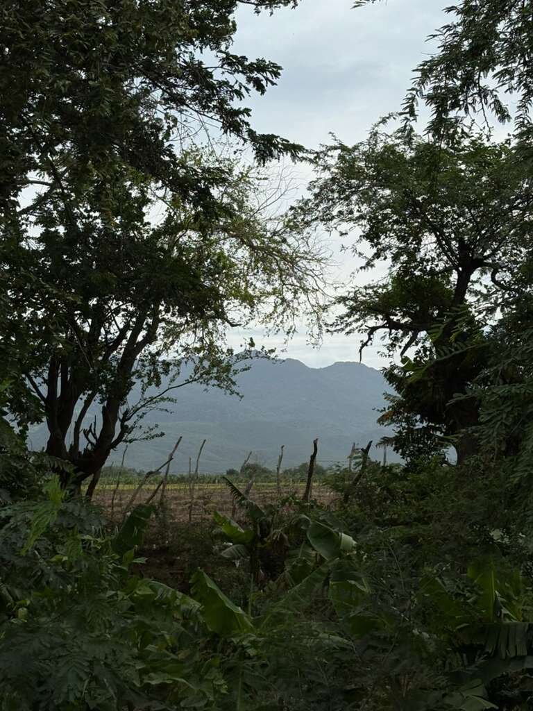 Emergency Relief for Students after Storm Melissa