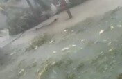 Hurricane Melissa Relief and Recovery