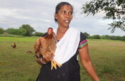 1000 Women-1000 Chicken Units-1 Stronger Community