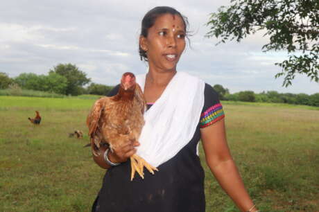 1000 Women-1000 Chicken Units-1 Stronger Community