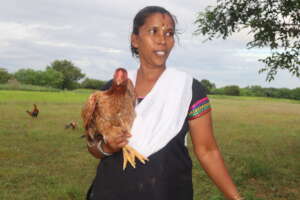 1000 Women-1000 Chicken Units-1 Stronger Community
