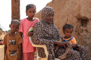 Sudan Emergency Relief & Peace Resilience Project
