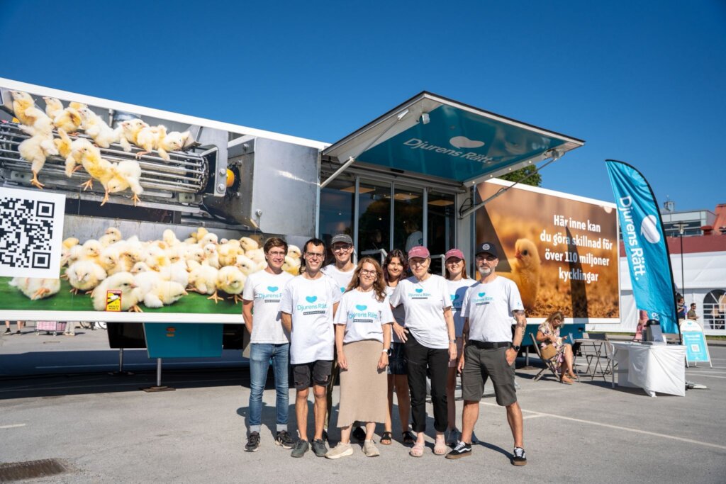 Help raise awareness about animal rights in Sweden