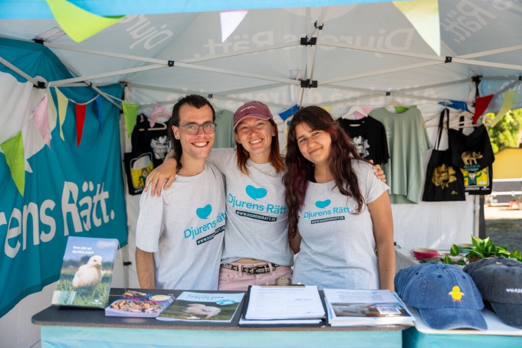 Help raise awareness about animal rights in Sweden