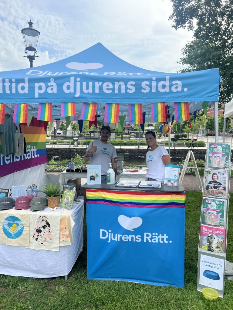 Help raise awareness about animal rights in Sweden