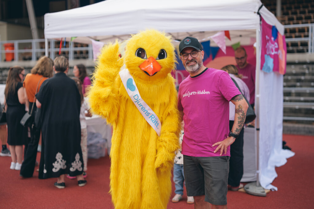 Help raise awareness about animal rights in Sweden