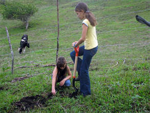 Girls planting trees in LRFF project