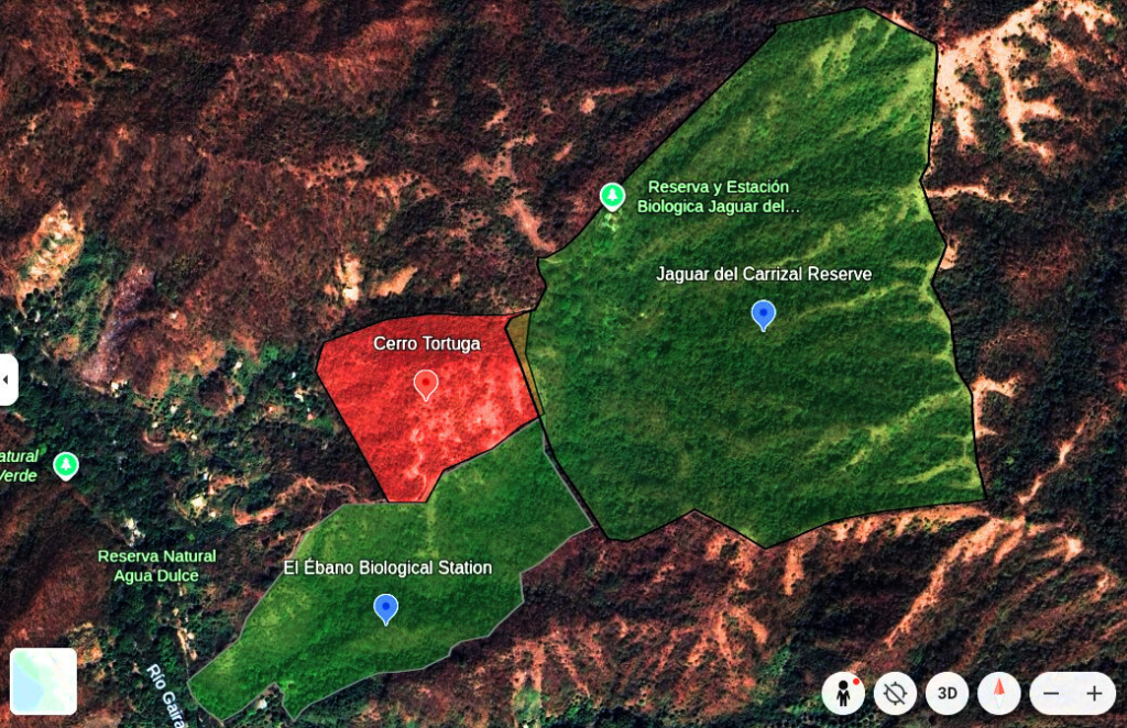 Protection of sacred space of Cerro la Tortuga