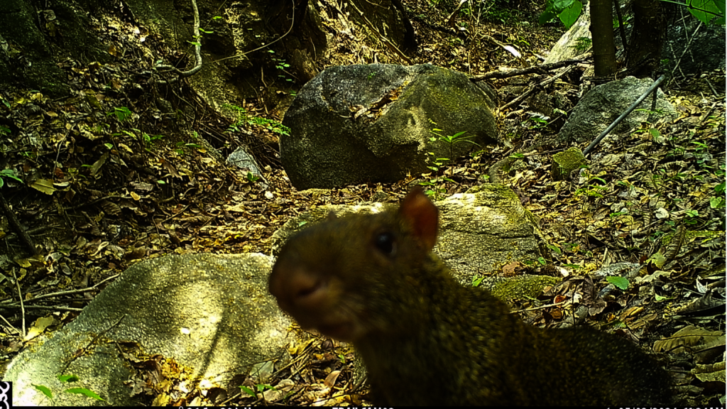 Protection of sacred space of Cerro la Tortuga