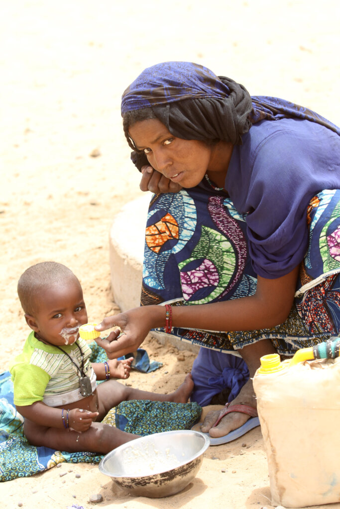 Clean Water for Tafadek, Agadez Region, Niger