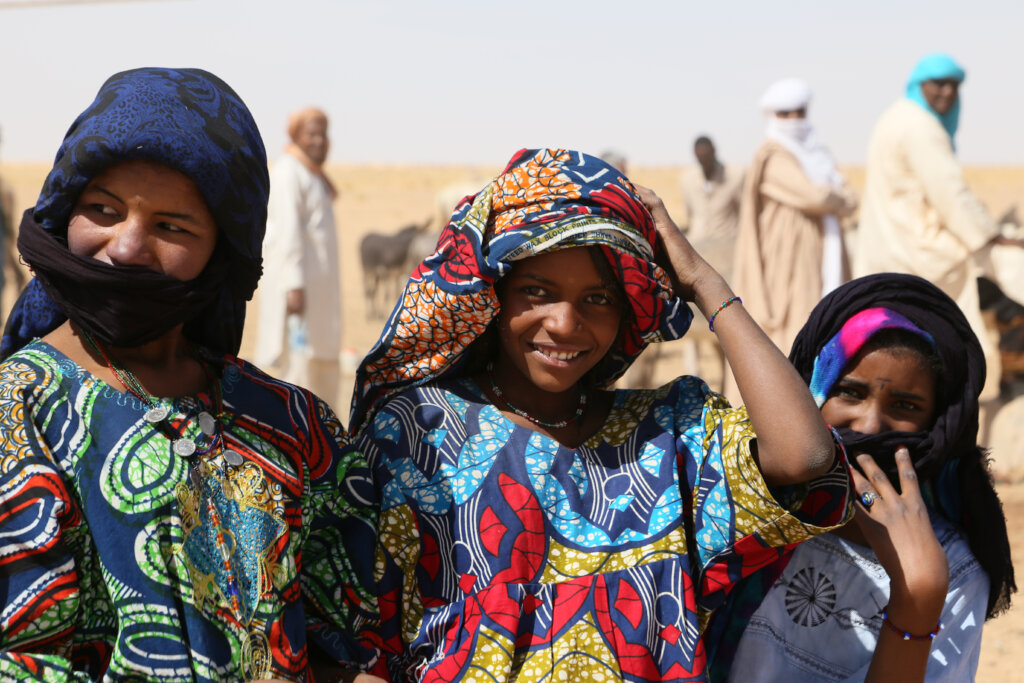 Clean Water for Tafadek, Agadez Region, Niger