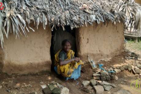 Diabetes Prevention & Control in rural and tribals