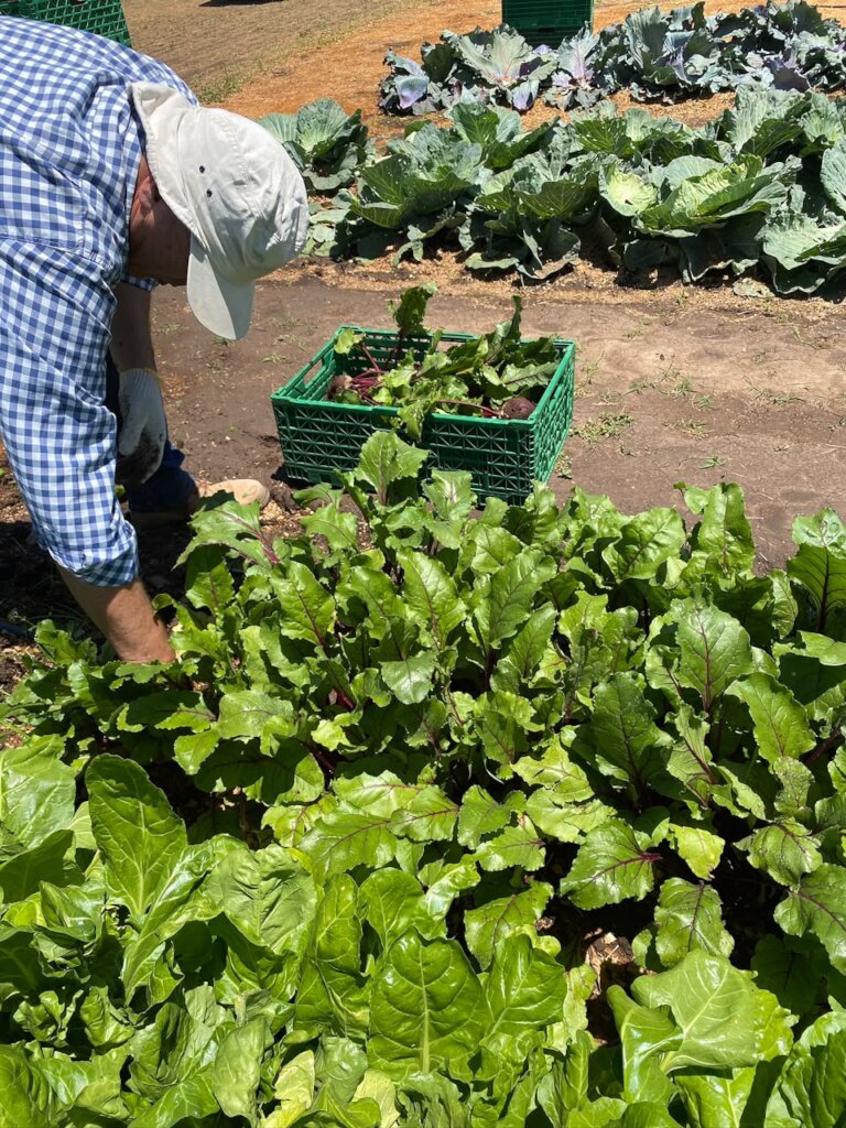 Provide meals for 1M people in need in Argentina