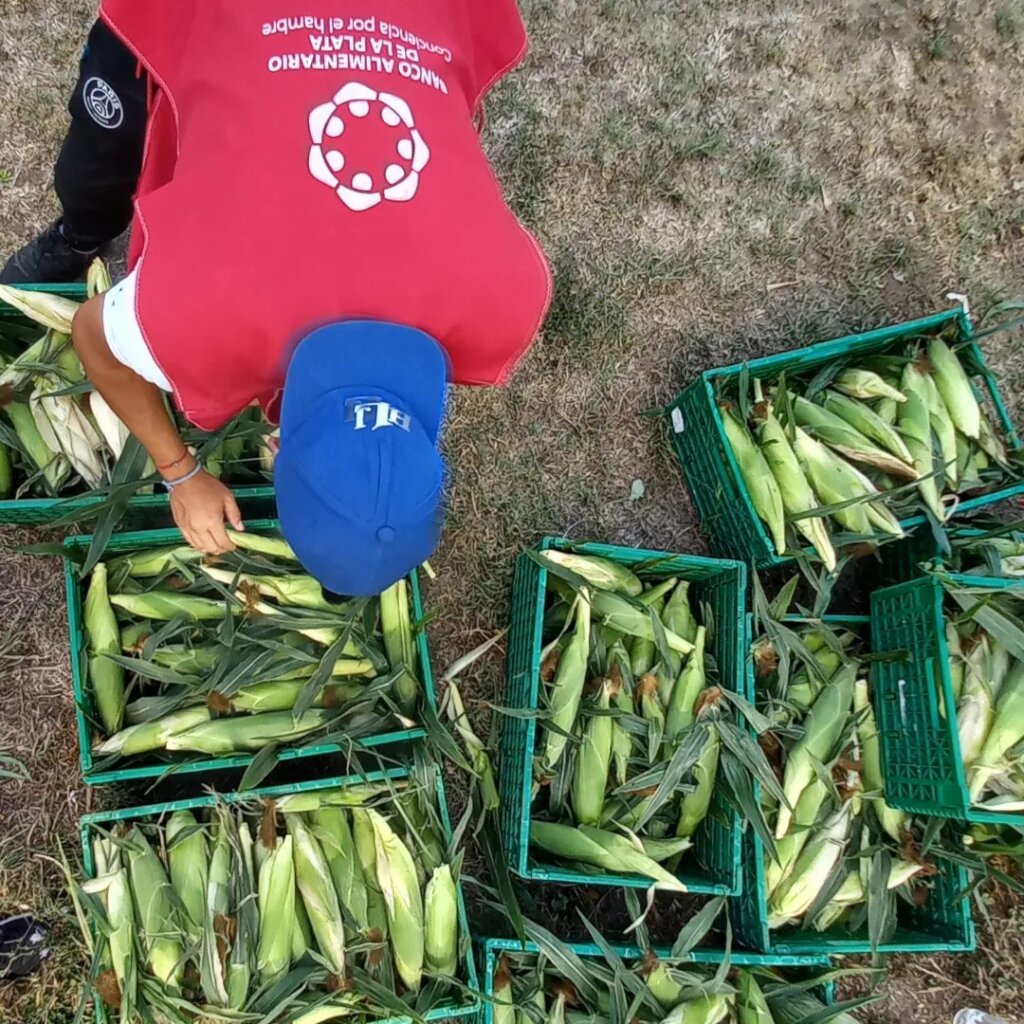 Provide meals for 1M people in need in Argentina