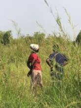 A day in the field