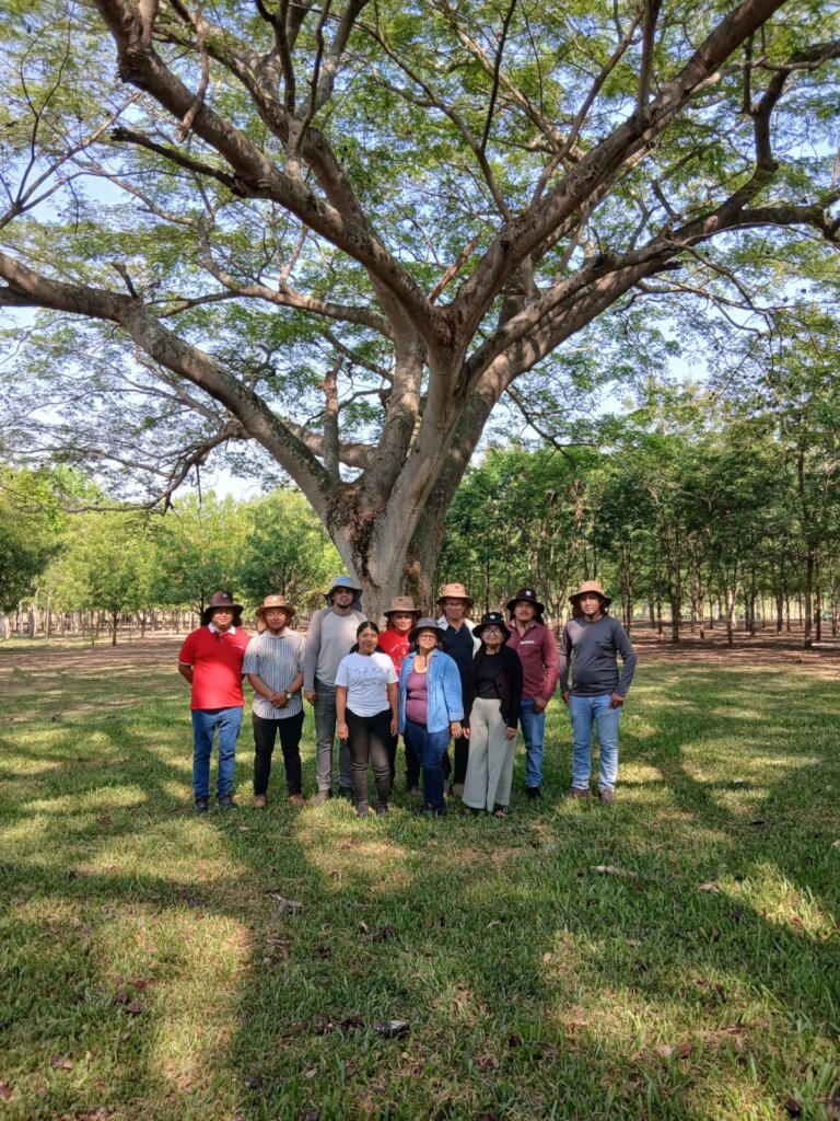 Teachers participating in school gardens training