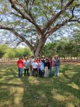 Teachers participating in school gardens training