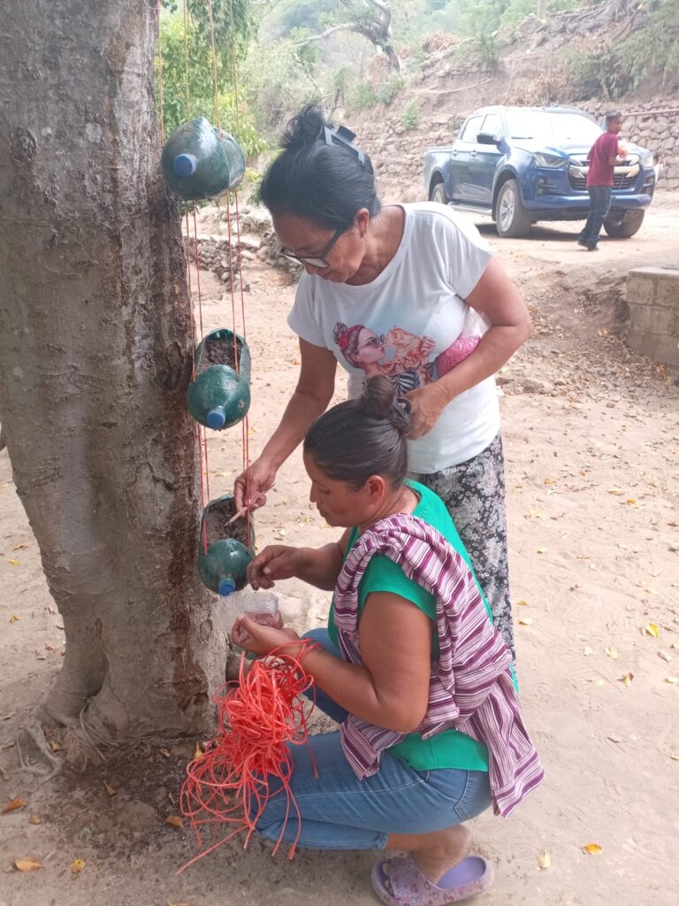 Community members starting a hanging garden